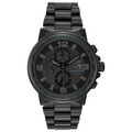 Citizen Nighthawk Watch