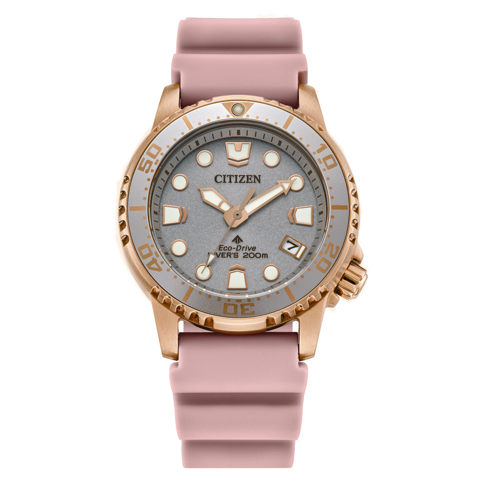 Citizen "Promaster" Dive Watch