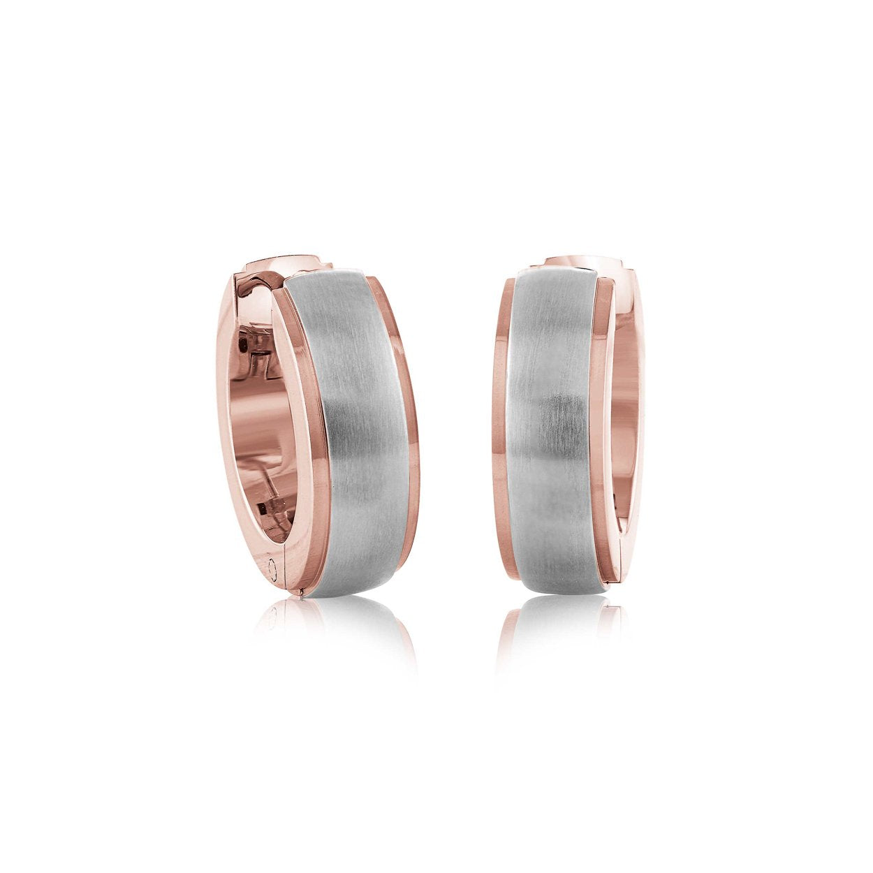 Brushed Polished Edge Earrings