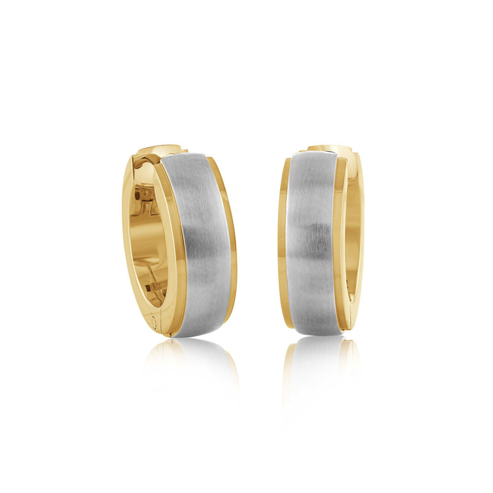 Brushed Polished Edge Earrings