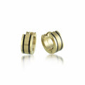 Steel Goldtone Earrings