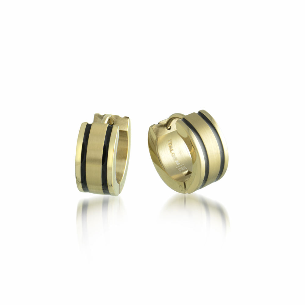 Steel Goldtone Earrings