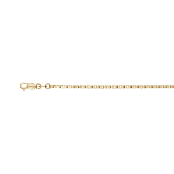 Gold Solid Box Link Chain