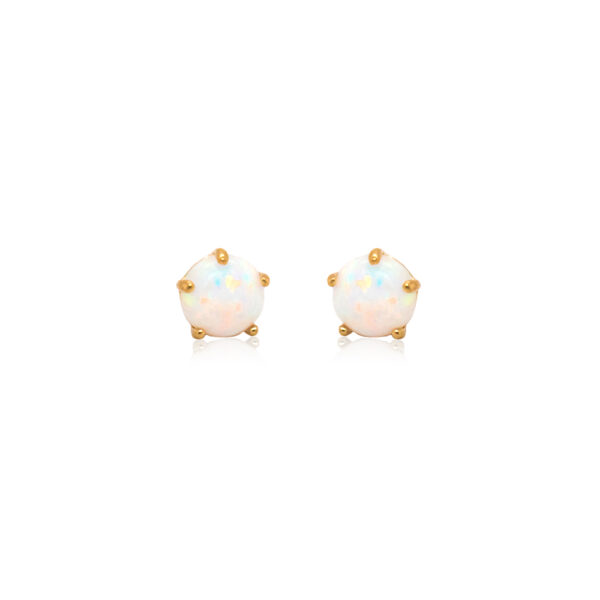 Gold & Opal Stud Earrings